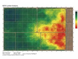 NDVI & MULTISPECTRAL REPORTS