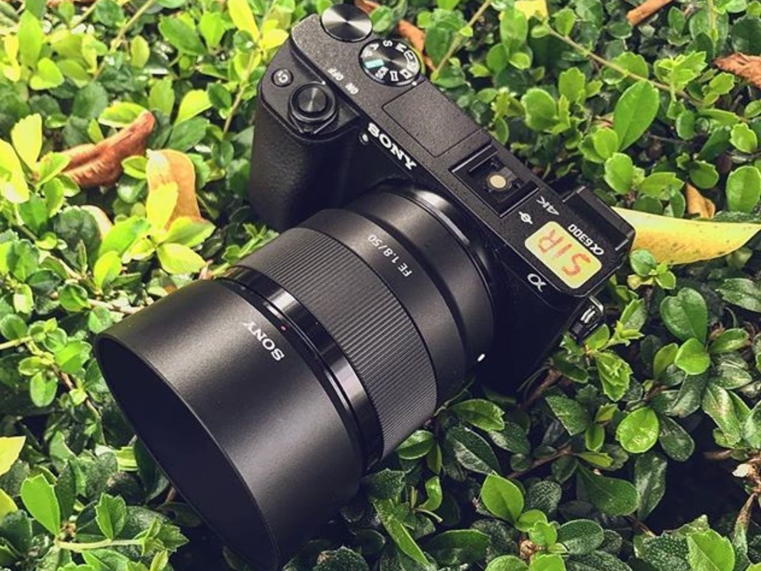 Sony FE 50mm f/1.8 lens rent in Sri Lanka front view